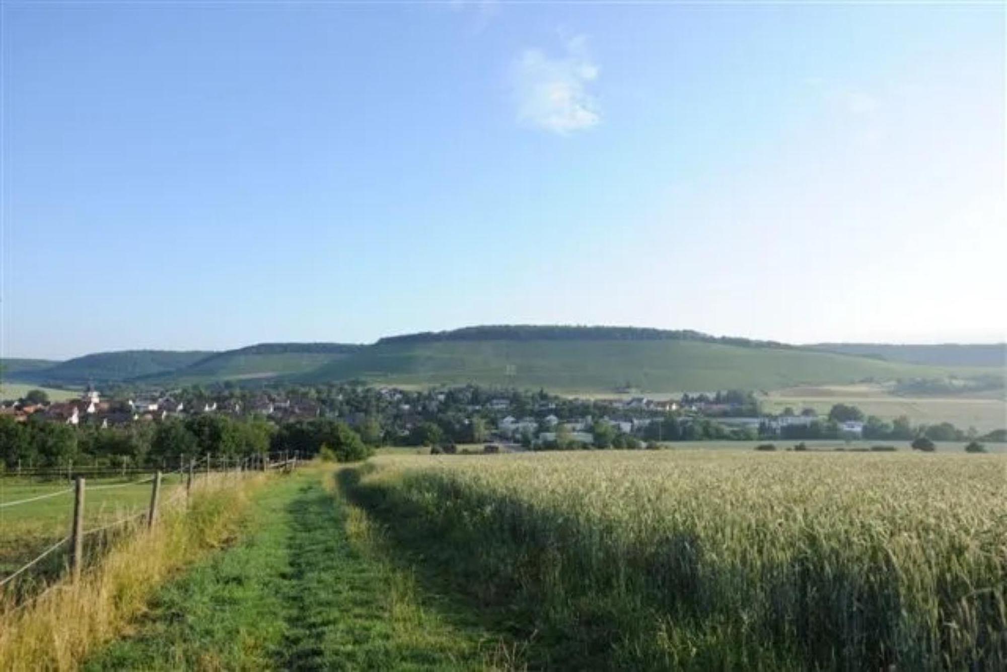 Landpension Wachtkopf Vaihingen an der Enz Kültér fotó