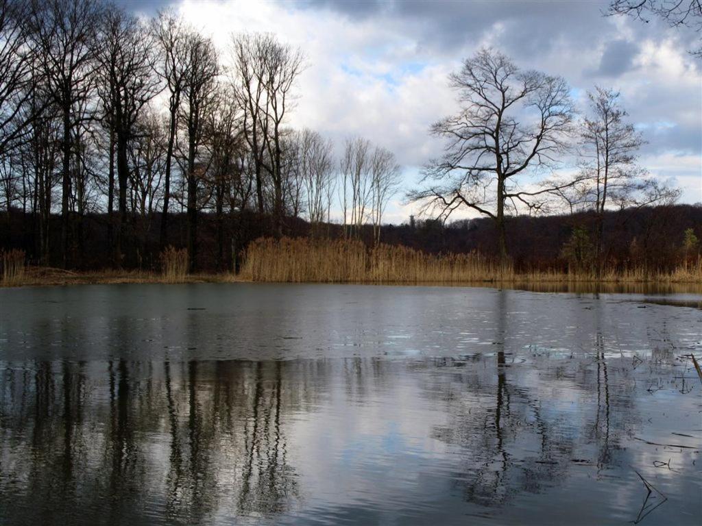 Landpension Wachtkopf Vaihingen an der Enz Kültér fotó