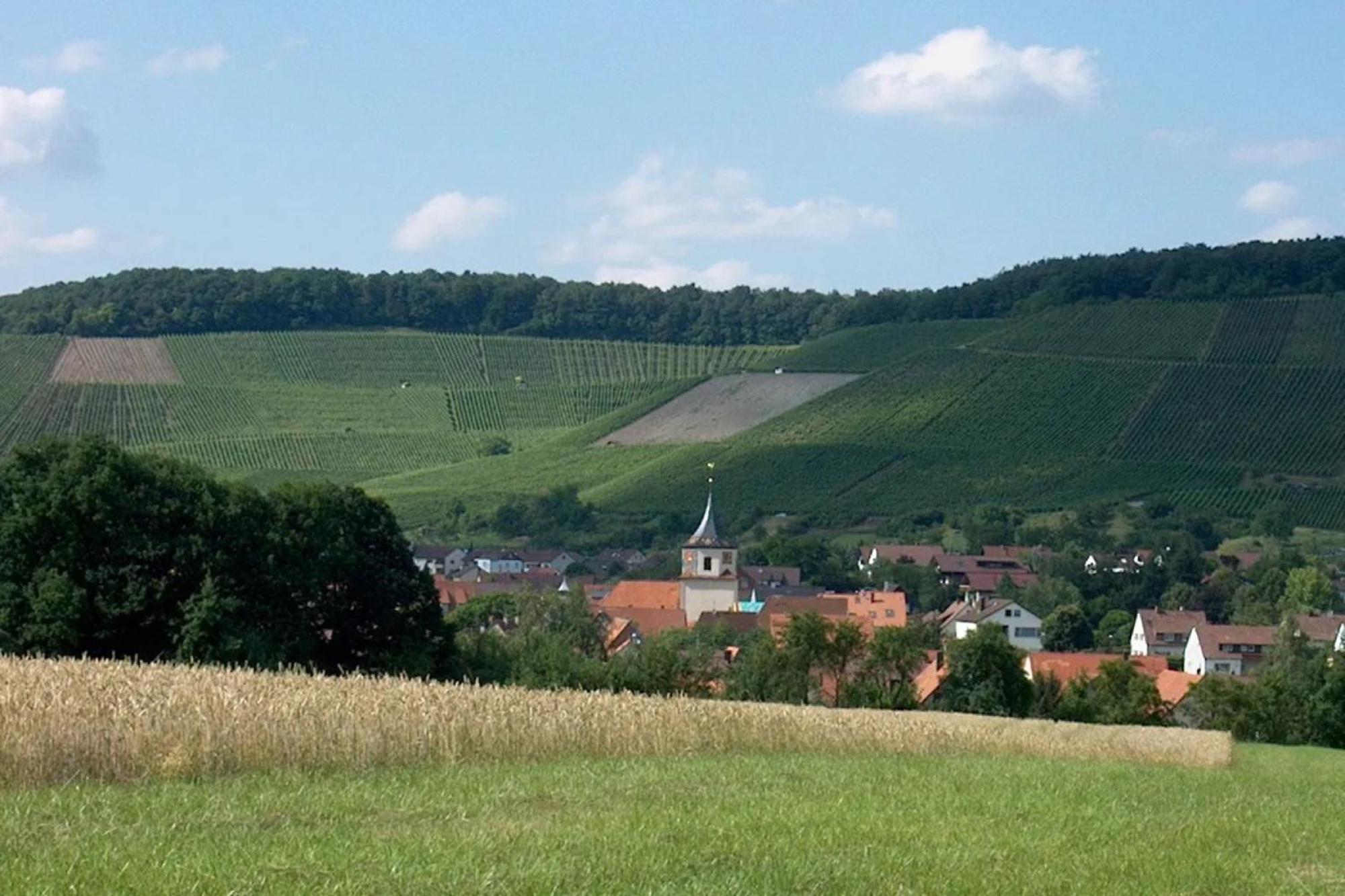 Landpension Wachtkopf Vaihingen an der Enz Kültér fotó
