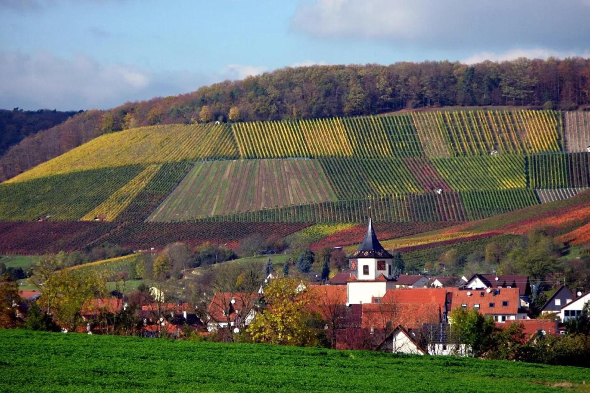 Landpension Wachtkopf Vaihingen an der Enz Kültér fotó